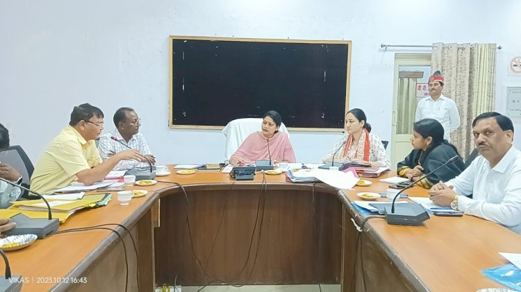 संचारी रोग नियंत्रण अभियान और राष्ट्रीय क्षय रोग उन्मूलन कार्यक्रम की बैठक संपन्न*