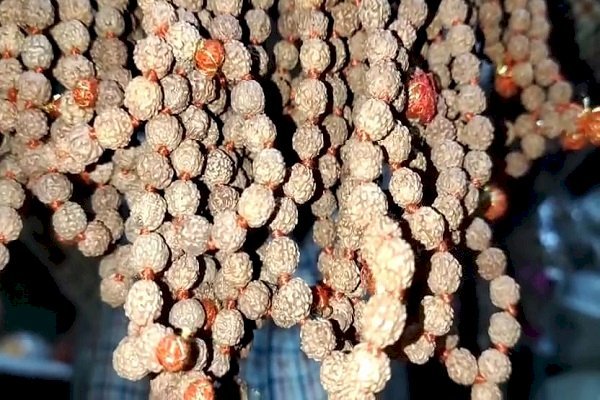 इंडोनेशिया के रुद्राक्ष से होगा श्री रामलला के प्राण प्रतिष्ठा का जाप, काशी से जाएगा 151 रुद्राक्ष की मालाओं के साथ गौमुख