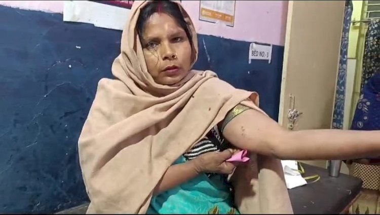 Raibareli-मवेशी के घर के सहन में आने से हुआ विवाद , एक महिला घायल
