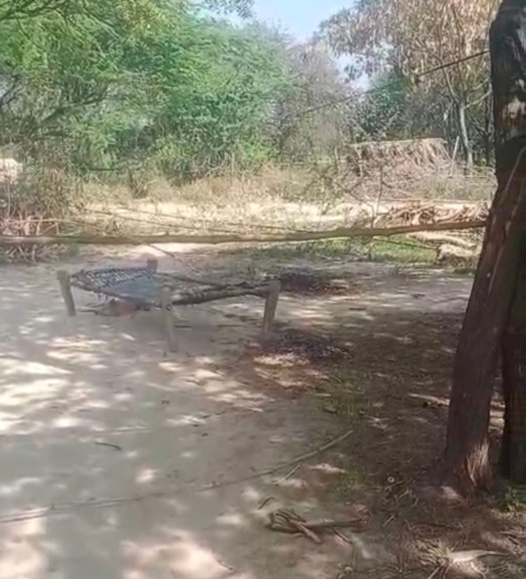 रायबरेली-न्याय की आस में दर-दर भटक रही पीड़िता,दबंग कर रहे है जमीन पर कब्जा