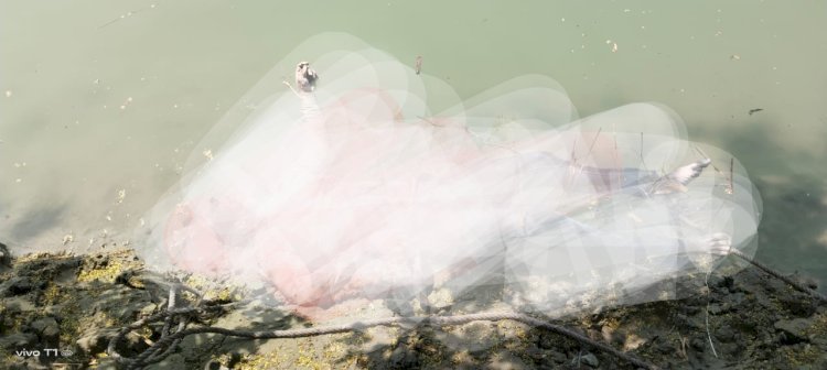 बड़ी खबर- क्या? प्रेम प्रसंग में हुई हत्या! चार दिन बाद नहर में तैरता दिखा शव