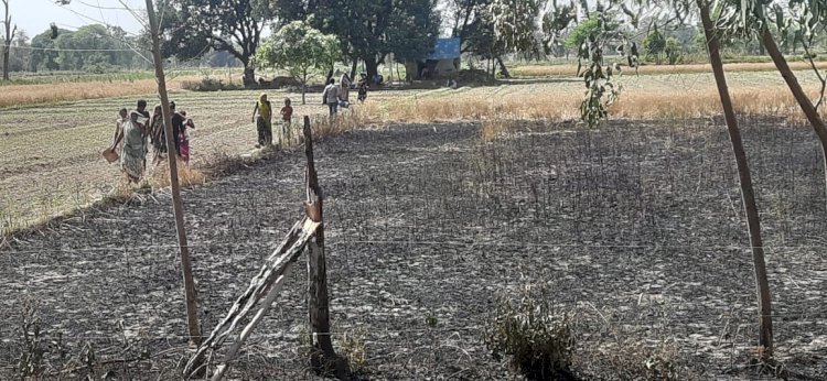 रायबरेली-गर्मी के दस्तक देते ही शुरू हुआ आग का तांडव , पांच बीघे फसल स्वाहा,,,