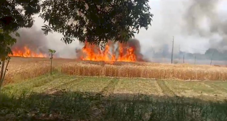 Raibareli-खेत मे लगी भीषण आग,जानिए कहां लगी आग