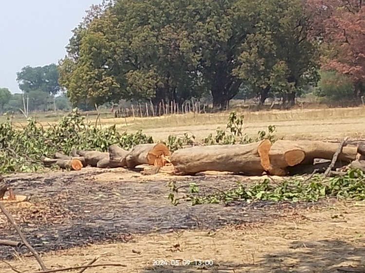 Raibareli-वही बहेलिया वही जाल आखिर कौन देखेगा इन जिम्मेदारो का मायाजाल*