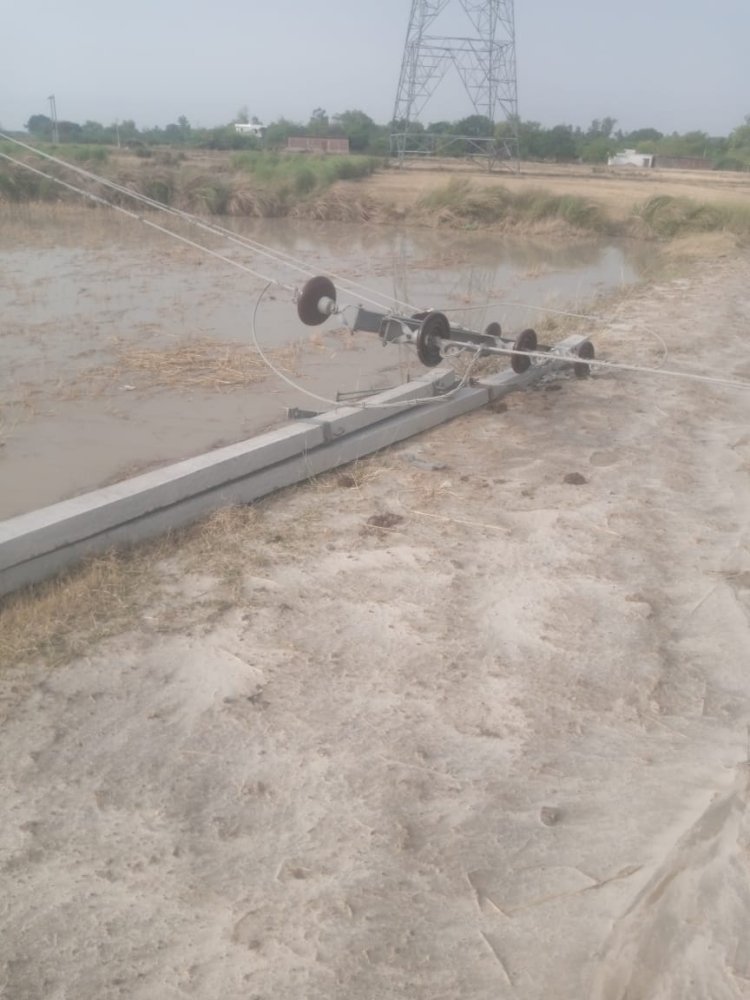 रायबरेली-तेज तूफान के साथ हुई बरसात , पेड़ और विद्युत पोल हुए धराशाई