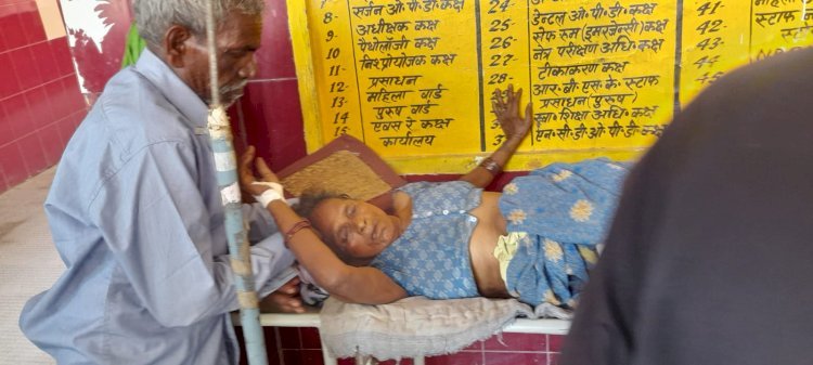 रायबरेली-घर में घुसकर सांड ने वृद्धा पर बोला हमला , हालत नाजुक