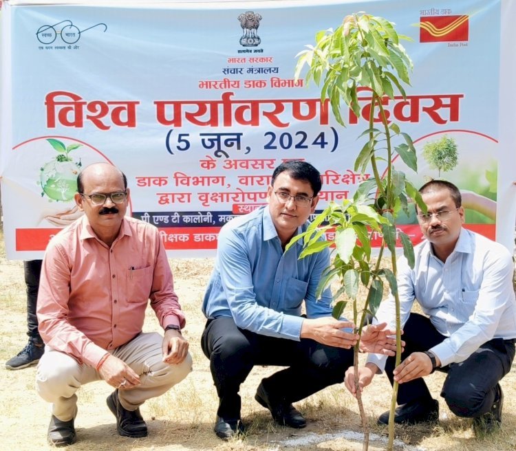 पर्यावरण संरक्षण के लिए पौधारोपण बेहद जरुरी - पोस्टमास्टर जनरल कृष्ण कुमार यादव*