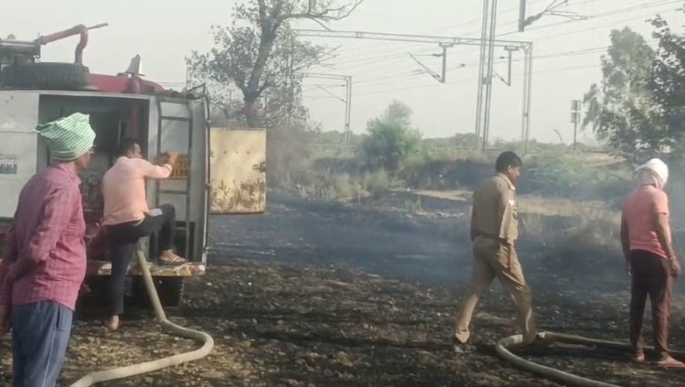 Raibareli-संदिग्ध परिस्थितियों में लगी आग से हाईवे के किनारे लाखों रुपए के हरे पेड़ जलकर हुए खाक