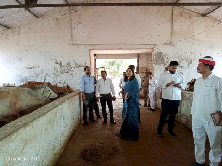 Raibareli-गोवंश के बेहतरी के लिए निरंतर करें कार्य: हर्षिता माथुर