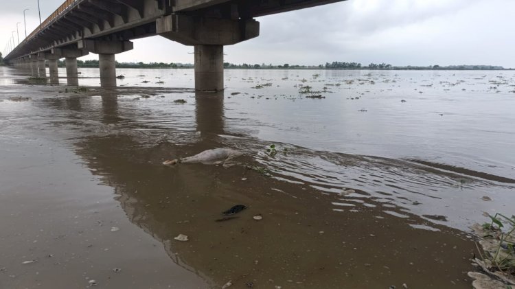 Raibareli-गंगा नदी उतराता हुआ दिखा शव