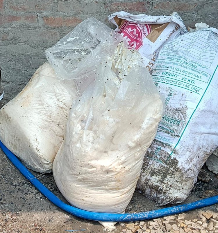 रायबरेली-सुनसान स्थान पर लगी है नकली मावा और पनीर की फैक्ट्री , केमिकल से बनाया जाता है जहर