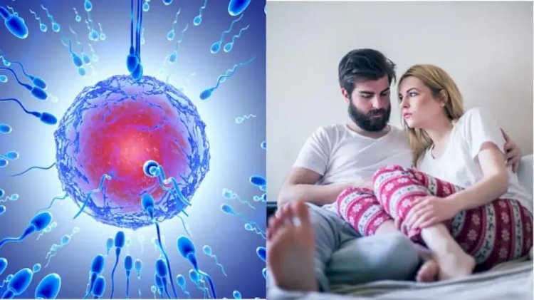 लड़कियो के लिए बड़े काम की चीज है लड़को का ये ,जनिये वजह