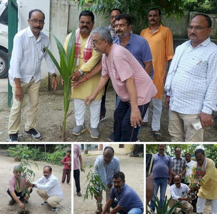 रायबरेली-प्राथमिक विद्यालय में समाजसेवियों ने किया वृहद स्तर पर वृक्षारोपण , दिया पर्यावरण संरक्षण का संदेश 