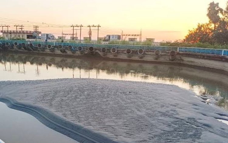 रायबरेली में नहरों की सफाई को लेकर गंभीर नहीं है सिचाई विभाग के अभियंता