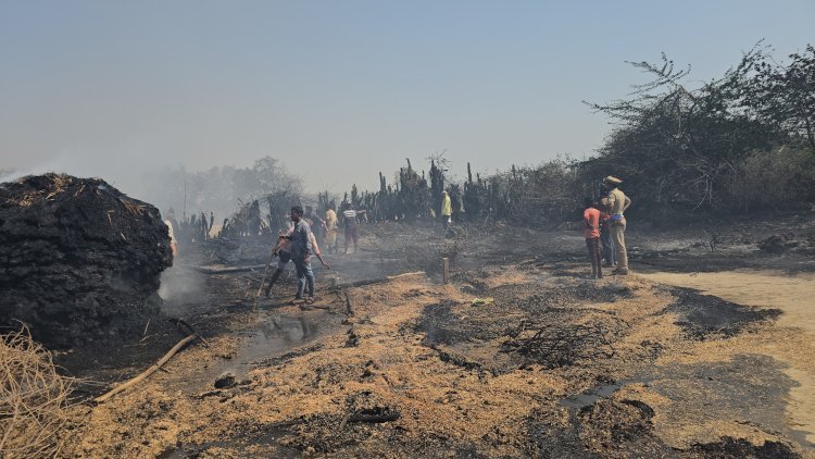 रायबरेली-जंगल मे आग से लगने से मचा हड़कम्प