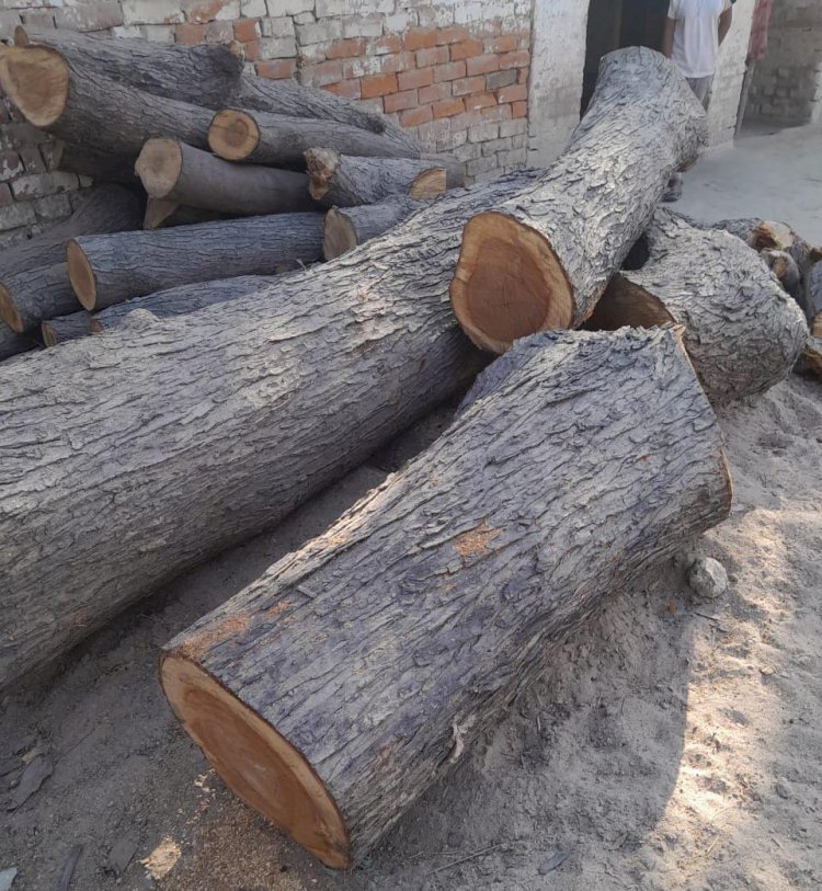 रायबरेली-काट डाला नीम का पेड़ , विरोध करने पर दरवाजा तोड़ दिया,,,, 