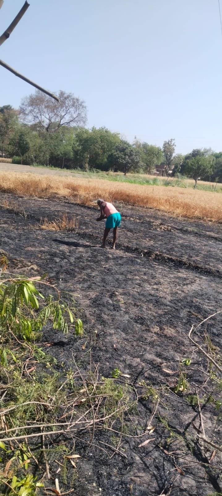 रायबरेली-एचटी लाईन की तार टूटकर गिरने से गेहूँ की फसल जलकर राख,,, 