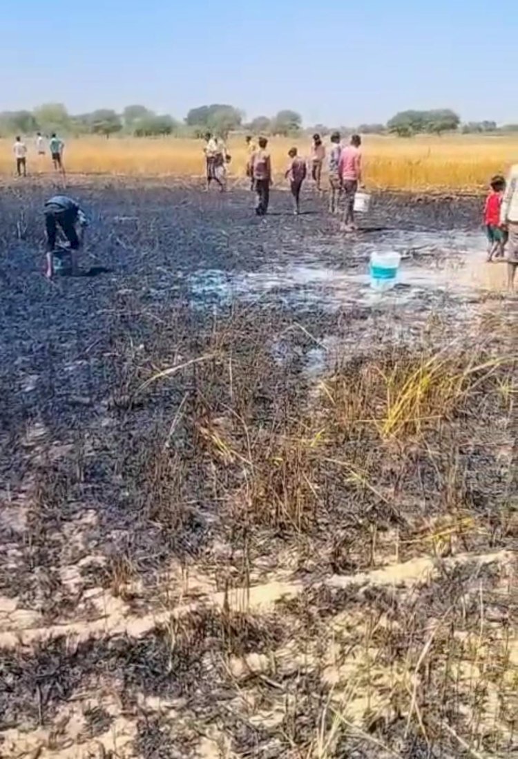 रायबरेली-अचानक धू धू करके जलने लगी गेहूं की फसल , तीन किसानों की गाढ़ी कमाई स्वाहा 