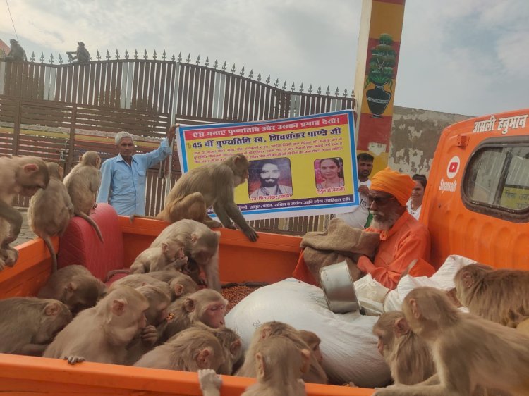 रायबरेली-पिता की पुण्यतिथि पर बेटी ने किया बन्दर भोज