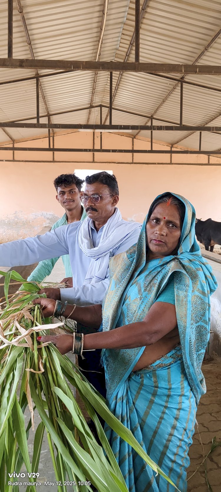 रायबरेली-बुद्ध पूर्णिमा पर कान्हा उपवन गौशाला में विशेष आयोजन,,,, 
