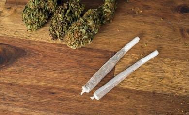 रायबरेली-ऊंचाहार में गांजा माफियाओं पर कार्रवाई से कतरा रहीं पुलिस, एक शख्स सालों से कर रहा कार्यवाई के लिये जद्दोजहद,,, 