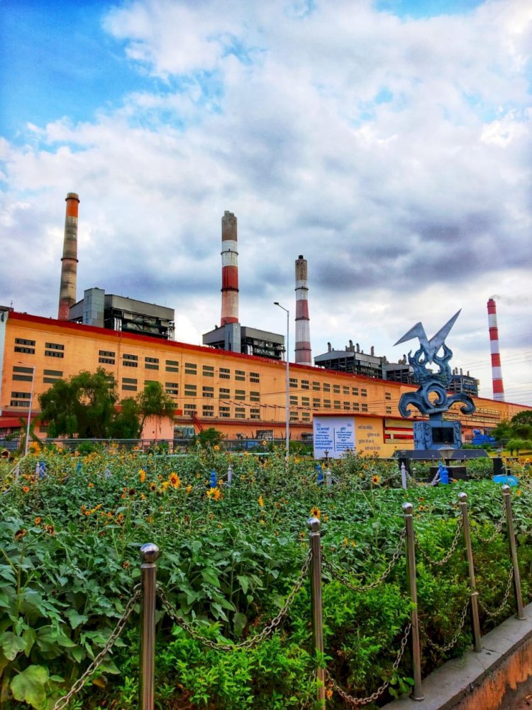 रायबरेली-एनटीपीसी के निदेशक एच आर का ऊंचाहार दौरा , हर तरफ सवालों का अंबार,,,, 