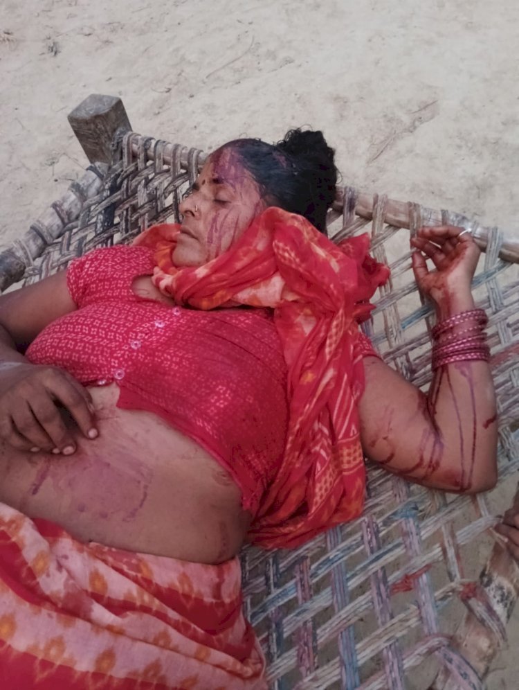 रायबरेली-दबंग युवक ने महिला को बेरहमी से पीटा