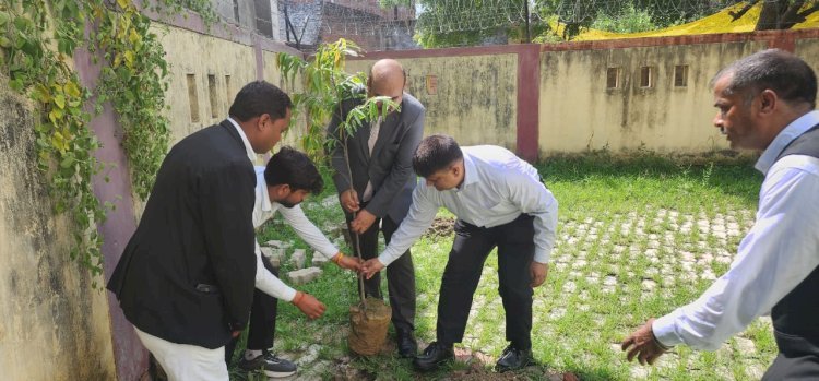 रायबरेली-ए0डी0आर0 सेन्टर में वृक्षारोपण कार्यक्रम का आयोजन सम्पन्न