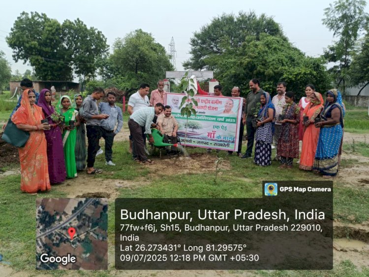 रायबरेली-डी०डी०ओ० ने वि० ख० अमावा में वृक्षारोपण कर अभियान का शुभारंभ किया