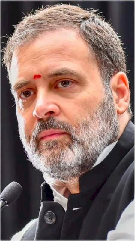 रायबरेली- राहुल गाँधी कल सुबह 10 बजे ऊंचाहार विधानसभा के बाबूगंज में करेंगे वर्कर्स मीटिंग,,