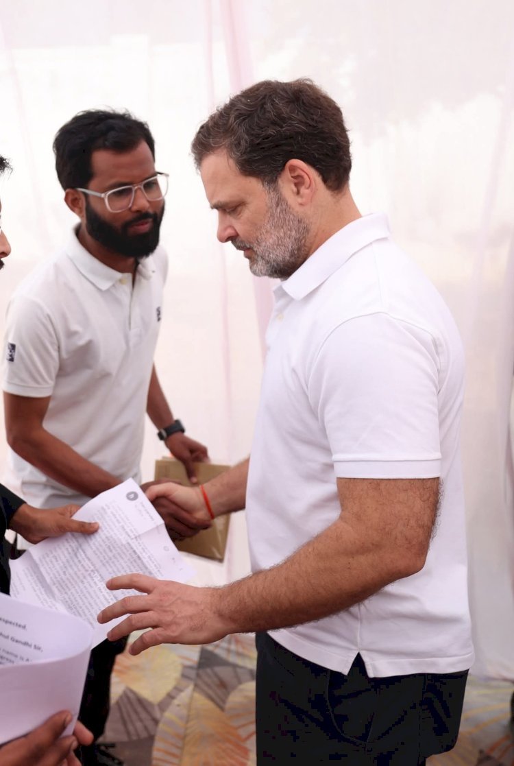 रायबरेली-शाजू नकवी बने ऊंचाहार नगर कांग्रेस अध्यक्ष