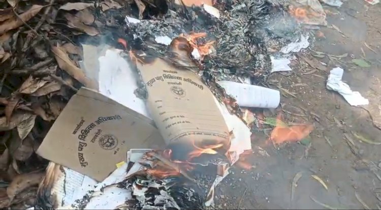 रायबरेली में फिर पशुपालन विभाग आया सुर्खियों में  पशु पालन विभाग की जलाई गई चोरी छिपे फाइले