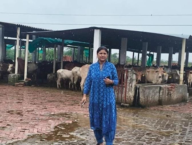 रायबरेली-बारिश के दृष्टिगत अधिकारियों द्वारा गौशालाओं को किया गया निरीक्षण