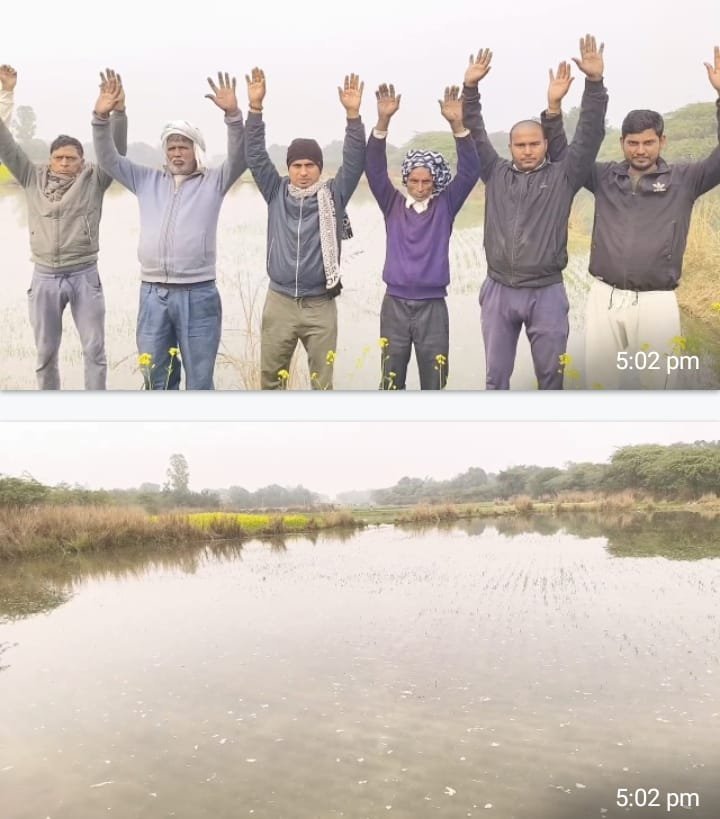 रायबरेली - अतरेहटा गांव में नहर का कहर, गेहूं की फसल जलमग्न