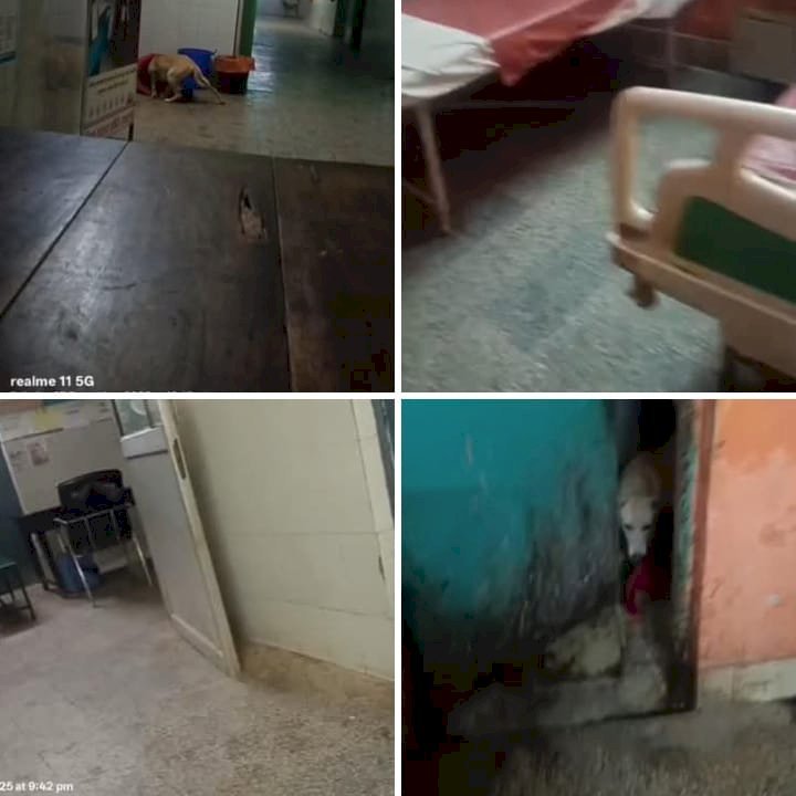 रायबरेली - आम आदमी ने सीएचसी का किया रियलिटी चेक, वीडियो हुआ वायरल