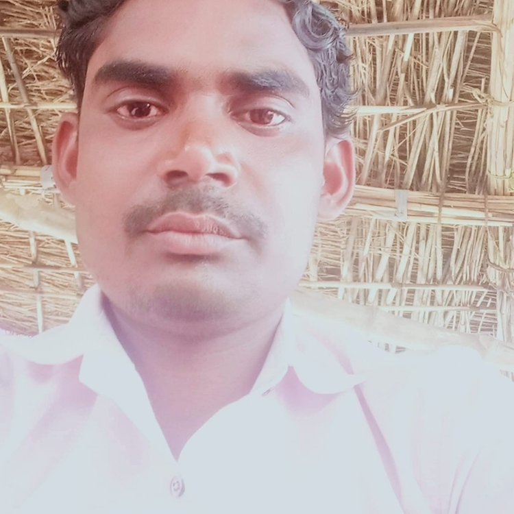 रायबरेली: विद्युत करंट से झुलसे संविदा लाइन मैंन की इलाज के दौरान मौत