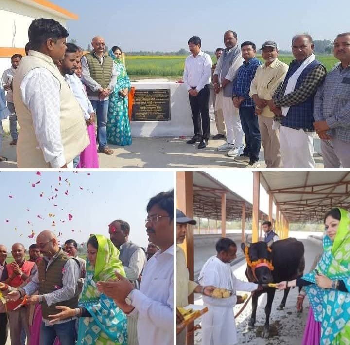 नगर पंचायत शिवगढ़ में 1.67 करोड़ की लागत से बनी कान्हा गौशाला हुआ लोकार्पण