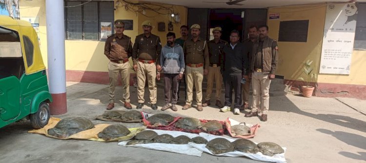 रायबरेली पुलिस की बड़ी कार्यवाही, कछुआ तस्कर को गिरफ्तार कर भेजा जेल