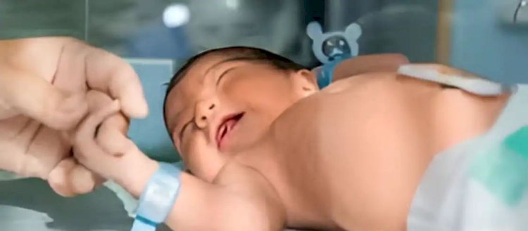 जन्म के बाद बेटी को खेत में फेंका, सहारा देने के लिए सामने आई 'यशोदा'; जिंदगी और मौत के बीच जूझ रही मासूम