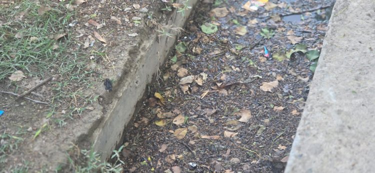 रायबरेली-DPRO साहब गांव की हकीकत स्वच्छ भारत मिशन की खुली रही पोल