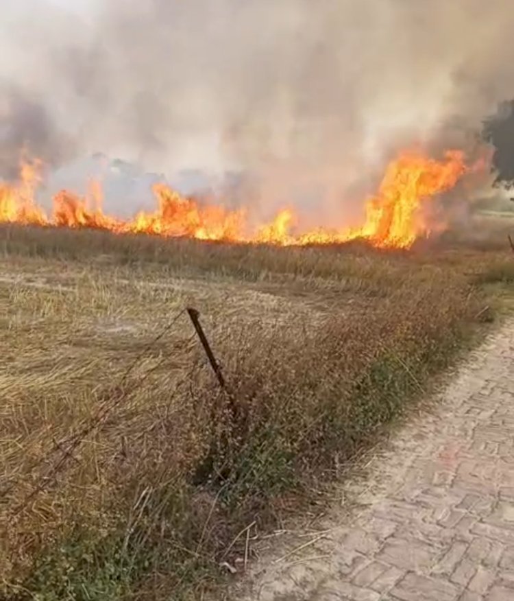 रायबरेली-शॉर्ट सर्किट से लगी आग ने मचाया तांडव  बिजली विभाग की लापरवाही किसानों पर पड़ रही भारी