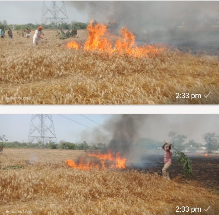 रायबरेली-शॉर्ट सर्किट से दो बीघे गेहूं की फसल जलकर हुई राख