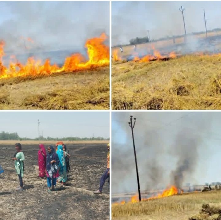 रायबरेली-शॉर्ट सर्किट से गेहूं की फसल में लगी आग, 30 बीघा फसल जलकर खाक