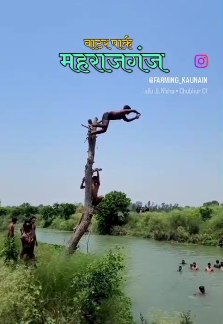 रायबरेली-वायरल हुआ महराजगंज का 'देशी वाटर पार्क: लेकिन जरा संभलकर,यहाँ स्नान करना साबित हो सकता है जानलेवा