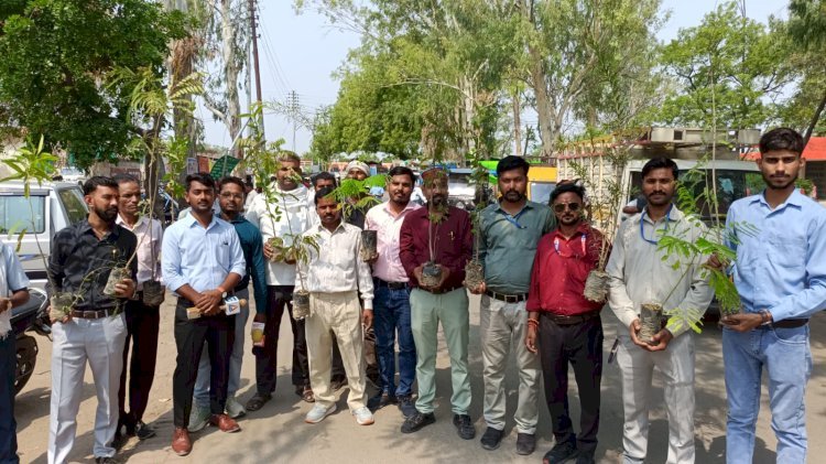 विश्व पर्यावरण दिवस पर  कलम शक्ति ट्रस्ट व जीत वेलफेयर फाउंडेशन ने चलाया वृहद वृक्षारोपण अभियान