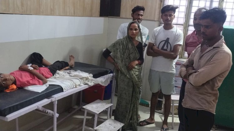 रायबरेली बंदर भगाते समय खेत में किशोरी को सर्प ने डंसा