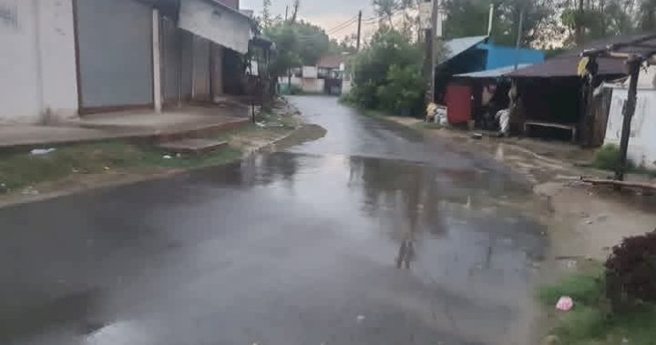 बदला मौसम का मिजाज, बारिश से धान की नर्सरी को मिली संजीवनी