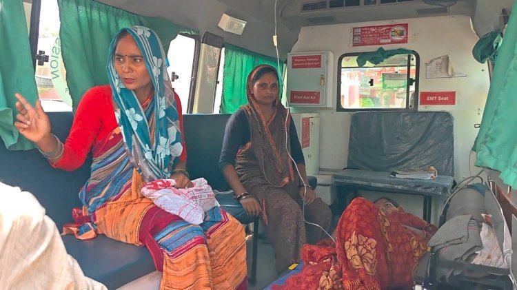 रायबरेली-चारा काटते समय गर्भवती महिला को सर्प ने डसा, हालत गंभीर