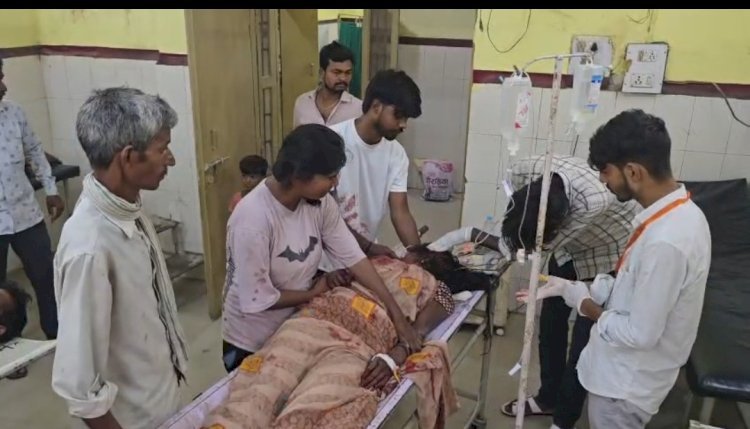 रायबरेली: मामूली विवाद में पति ने पत्नी पर किया जानलेवा हमला, ईंट-पत्थर से पीटकर किया लहूलुहान