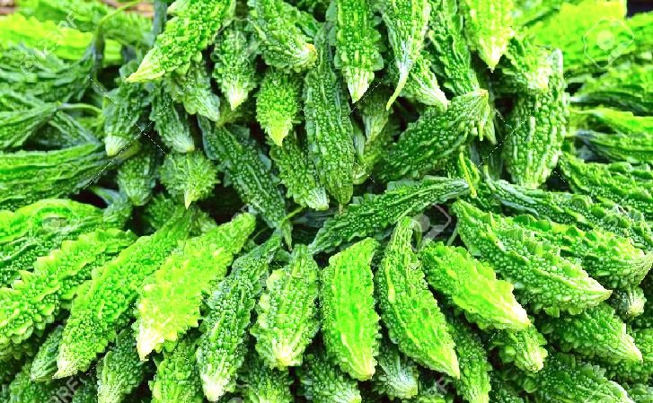 डायबिटीज ही नहीं इन रोगों का भी दुश्मन है करेला, बस इस तरह से करें प्रयोग !